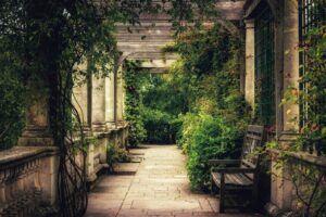 eiken pergola bouwpakket